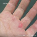 금천반점 | 한가롭지 못한 오미자수매와 산양 맛집 금천반점 후기