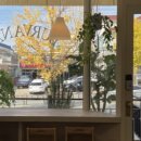 사파동198 이미지