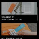 용산-현장-1204 | [공지] 베트남에서 한국으로 강아지 데리고 입국하기 (다낭-인천) , 광견병항체검사, 영종도 계류장