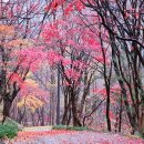 보석사로 이미지