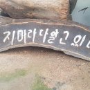 제 시금치님(?) 이야기.. 이미지