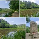 7.5.sat.해. 광릉수목원의 7월 이미지