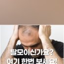 그로우모모 두피 탈모 케어센터 이미지