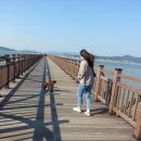 댕댕아띠 이미지