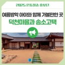 신흥천 | 여름방학 아이와 함께 가볼만한 곳 덕천마을과 송소고택