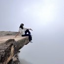 로라펫 하우스 | 호주 시드니 블루마운틴 선셋투어 비극편