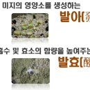 네이처발란스 이미지