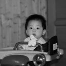 반디네허브 이미지