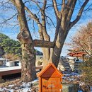 매지3리(회촌) 경로당 이미지