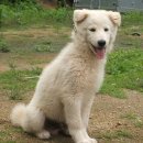 금풍농장 이미지