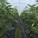 창구농장 이미지