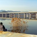 어천낚시터 이미지