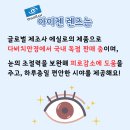 아이젠안경 이미지