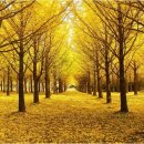 열목어마을 이미지