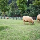 늘솔길공원1 이미지