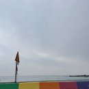 스테이독채 펜션 민박 | 포항 구룡표 오션뷰 독채펜션 하정스테이 후기(애견 동반 가능)