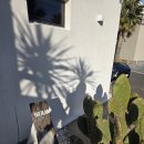 겔랑제주 | [공지] 겔랑제주 a타입 후기!