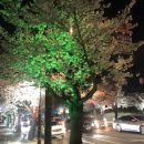 앞산카페거리 이미지