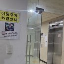 고양이카페 아이캣유 | 전주 고양이 카페 실내 데이트 코스 아이캣유