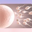 에스지원 | 전주 이화에스산부인과 / 전주 산전검사 / 정자 정밀검사 되는 병원 남녀검사 후기