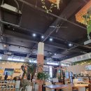 산업커피 이미지