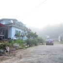 양지꽃펜션 이미지