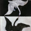 아프(AF) 이미지