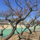 김해건설공업고등학교 이미지