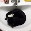 엘리네집 이미지