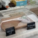 일대마을 | [강릉 빵축제] ‘빵굽는 마을 오죽’ 방문 후기