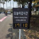 천제연폭포 관광안내소 | 서귀포 가볼만한 곳 중문 가족여행 천제연폭포