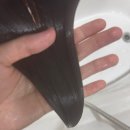 다함공구 | 바이오레시피 헤어팩 n회차 내돈내산 공구 후기