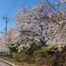 덕산보건진료소 이미지