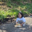 자장목장 이미지