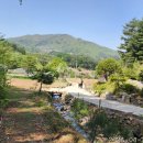 운교1리 이미지