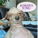명인만두화명점 | [부산/화명동] 아이박스 안경점 솔직후기 가격, 시력검사, 맞춤안경 리뷰