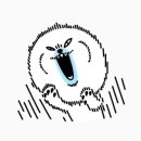 애니카랜드 광안점 이미지