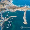 대진항