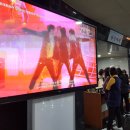 뮤지컬 정글라이프 이미지