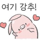 탐나짬뽕 이미지