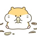 연서동물종합병원 이미지