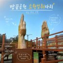 땅끝희망공원화장실 | 해남 가볼만한 곳 땅끝마을 소원성취다리 해양자연사박물관
