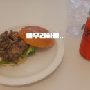 학교폭력대책심의위원회 교육을 만나다 토크 콘서트 후기