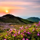 번암동화로 이미지