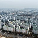 유림공원 티스토리