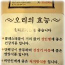 크레이지덕 네이버블로그