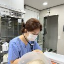 성신동물병원 이미지