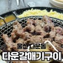 다운갈매기구이