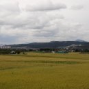 종합운동장길 이미지