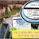 사육·도축정보 확인 가능한 돼지이력제 시범사업 시작(양돈협회)